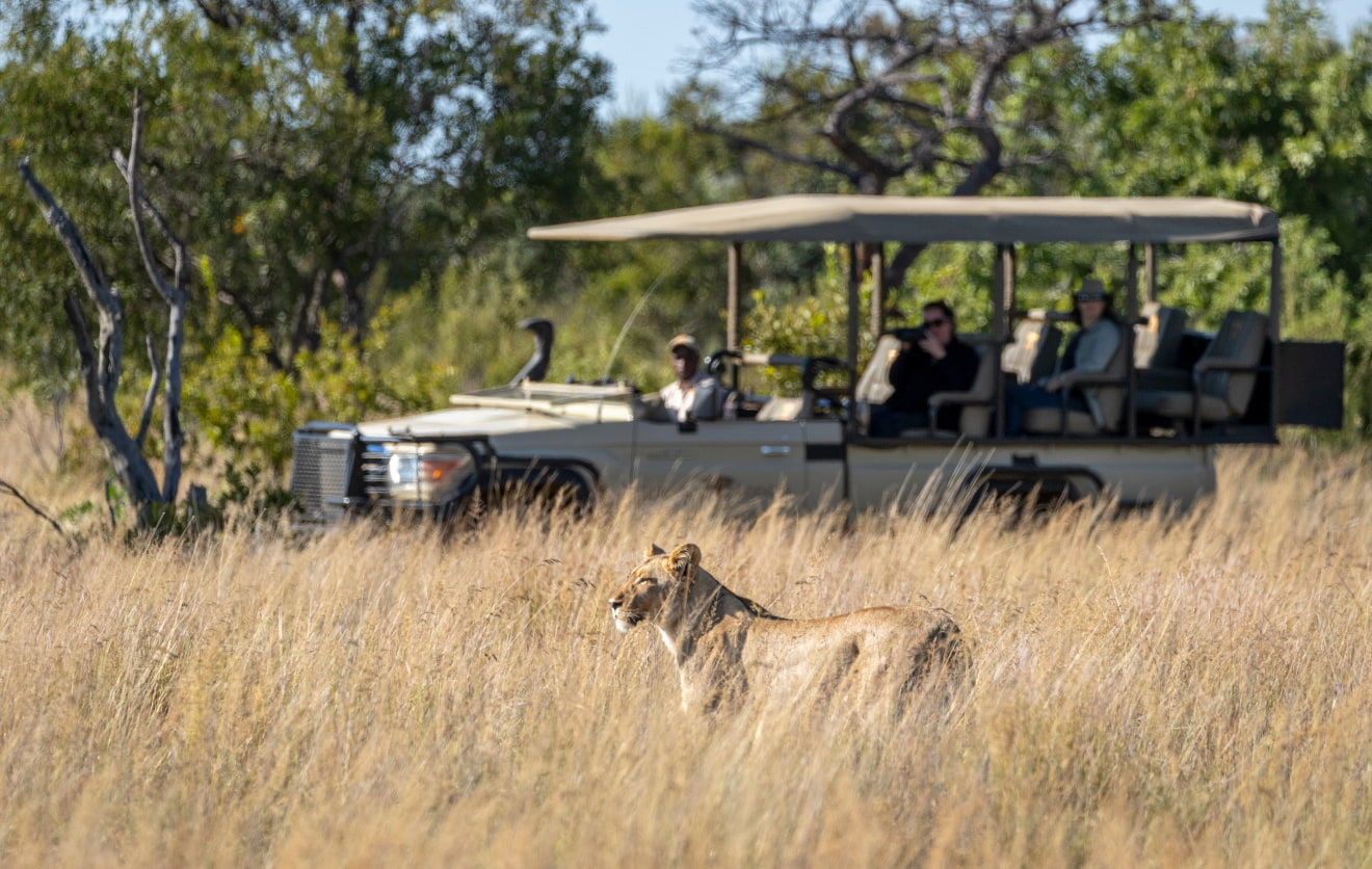 Game drives